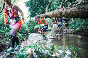 BIB: 
                            <button type="button" onclick="openModal(25446601)" class="btn btn-primary btn-sm float-right btn-popup" data-toggle="modal" data-target=".modal-high-quality">
                        <i class="fas fa-shopping-cart"></i> Add to Cart
                    </button>
                                            <button type="button" onclick="isThisMe(25446601, true)" class="btn btn-success btn-sm float-right btn-popup btn-isme hidden" data-toggle="tooltip" data-placement="bottom" title="นี่คือรูปของคุณใช่ไหม คลิกที่นี่เพื่อเอาเข้าอัลบั้ม">
                        <i class="fas fa-plus"></i> Add to album
                    </button>
                    <button type="button" onclick="isThisMe(25446601, false)" class="btn btn-warning btn-sm float-right btn-popup btn-isnotme hidden">
                        <i class="fas fa-ban"></i> Remove from album
                    </button>